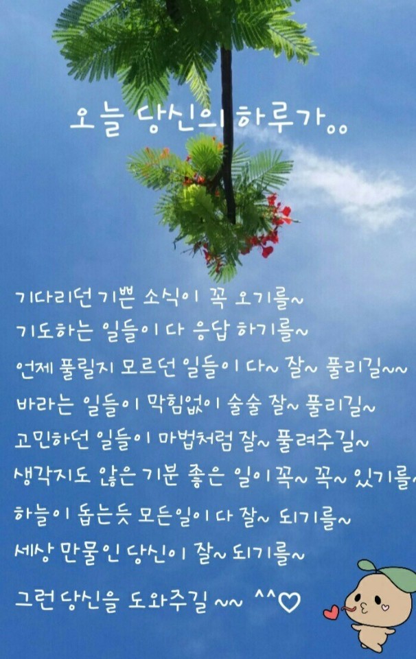 오늘하루가 이미지