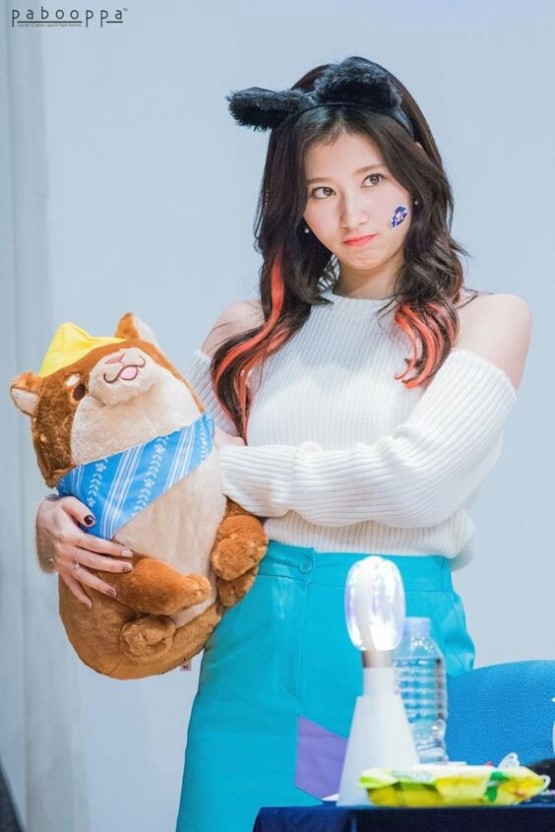 트와이스 사나 | 인스티즈