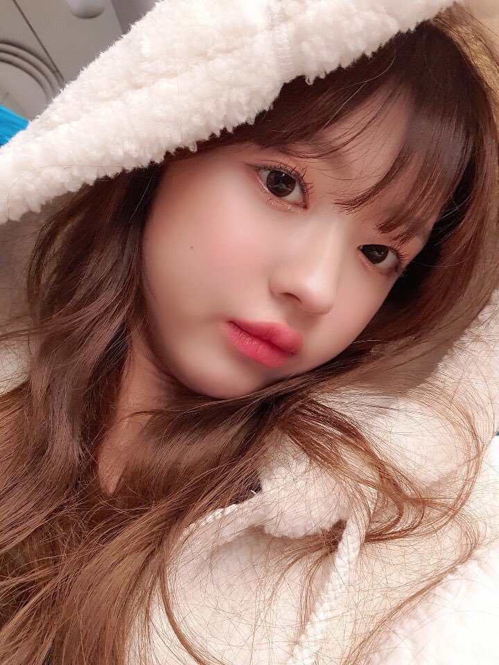 오늘자 오마이걸 트위터 | 인스티즈