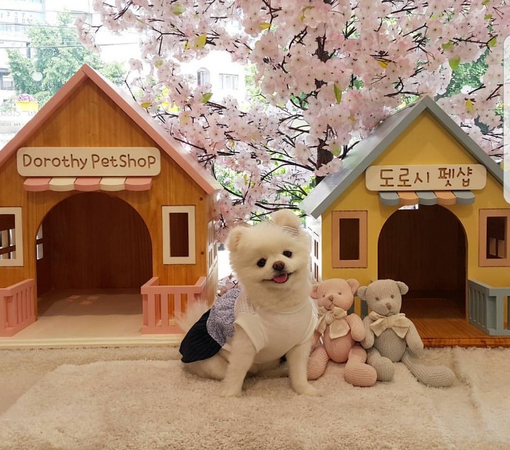 어릴 때 지우개에 하던 짓 | 인스티즈