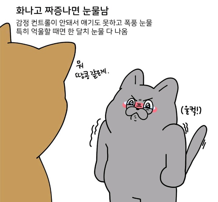 눈물 많은 울보 특징 | 인스티즈