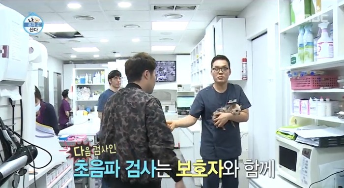 [나혼자산다] 전현무와 17살 반려견 또또 이야기.jpg | 인스티즈
