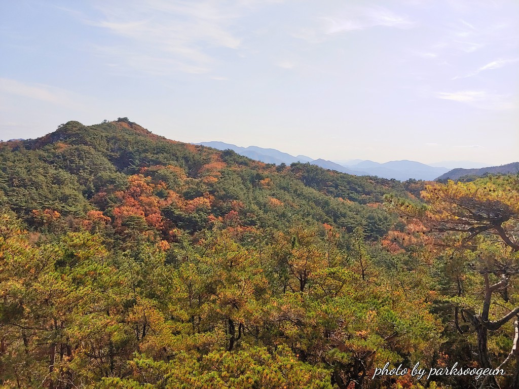 남산 이미지