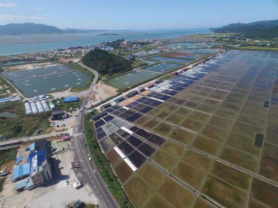 변산반도젓갈 이미지