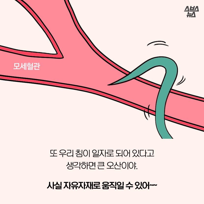 모기 만화.jpg | 인스티즈