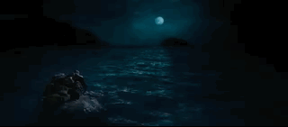 나만 아는 파라다이스로 서핑 하러 왔는데 죽은 고래가 있어여....gif | 인스티즈