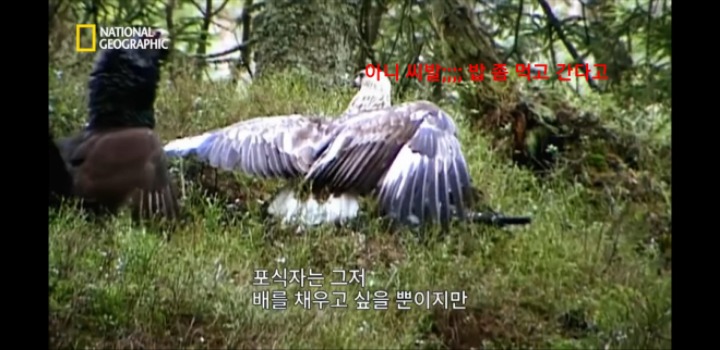 분노조절을 잘 해야하는 이유 | 인스티즈