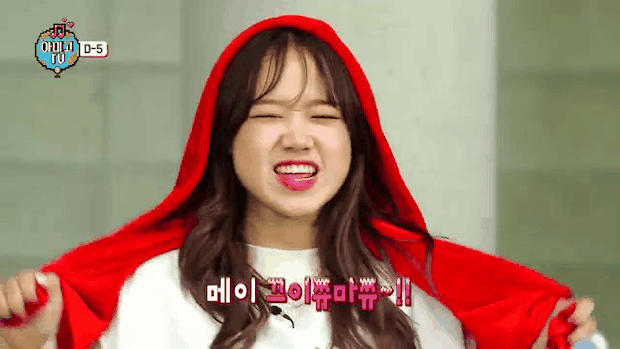 위키미키 최유정 | 인스티즈