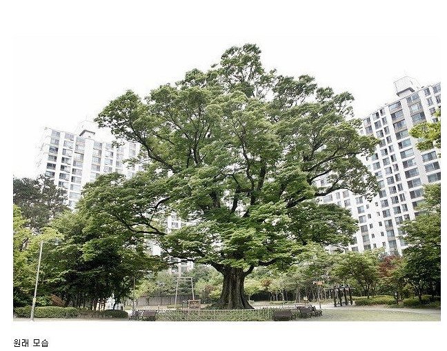 경기도청 이미지
