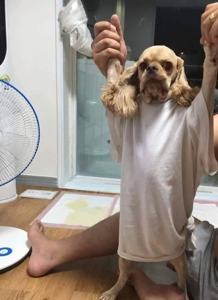 엄마가 아끼는 조각상이 박살난 이야기 | 인스티즈