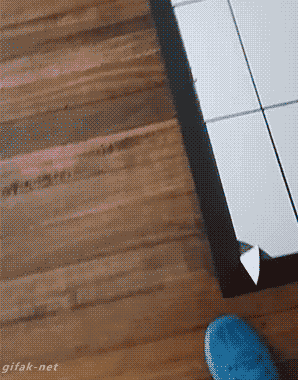 냥보관.gif | 인스티즈