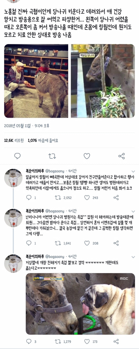 노홍철이 입양한 당나귀 근황(혐오주의) | 인스티즈