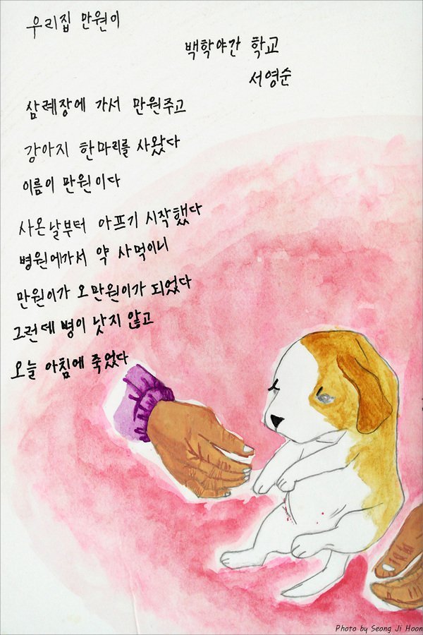 할머니들의 시 | 인스티즈