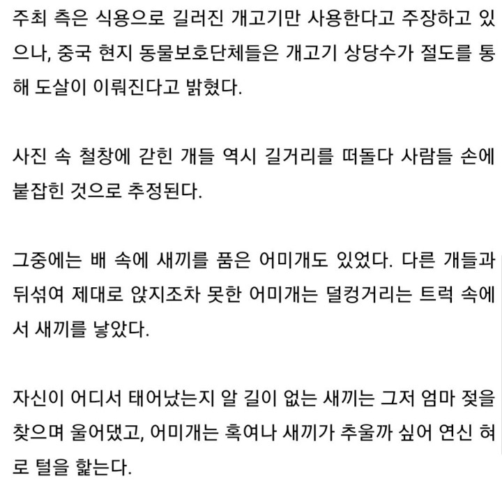 도축장 가는 길에서 태어난 강아지 | 인스티즈