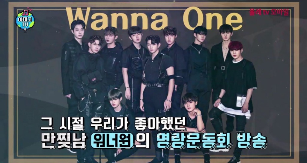 마이아미고 이미지