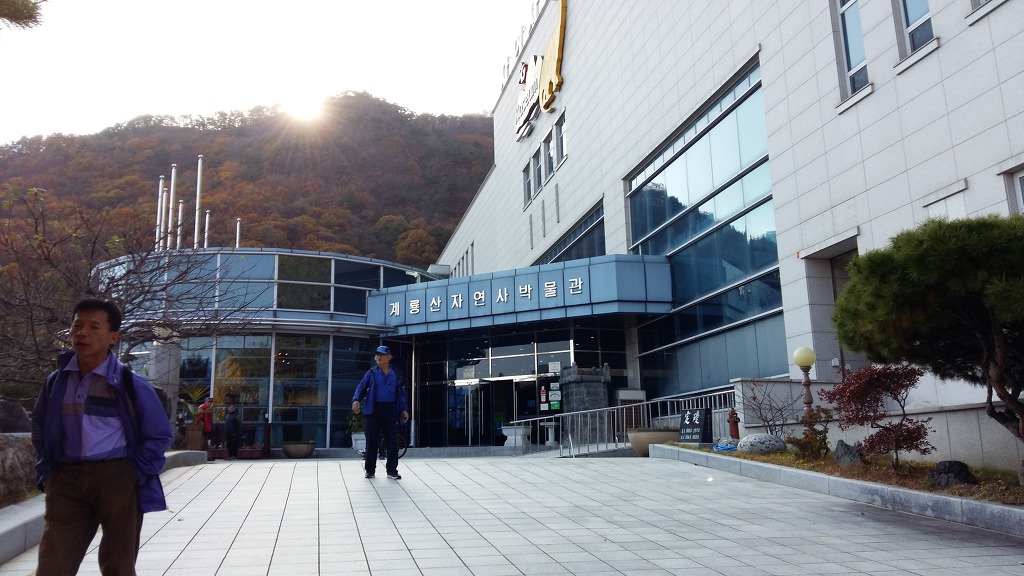 지연사 이미지