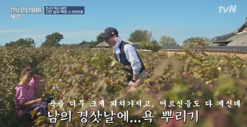 김원희 결혼식에서 욕하고 싸움났던 기자들 | 인스티즈