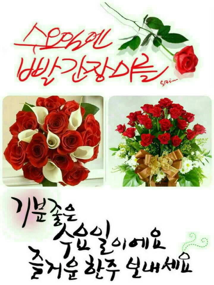 수요일꽃집 이미지