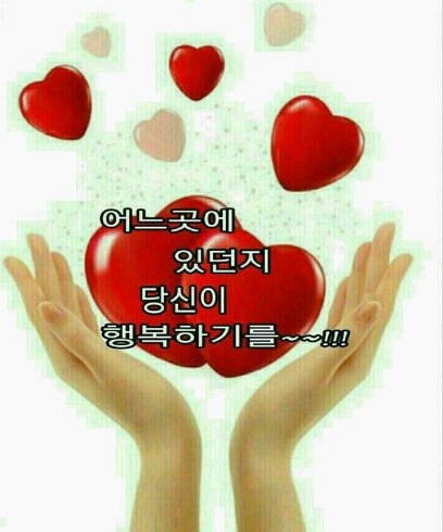 해피데이 이미지