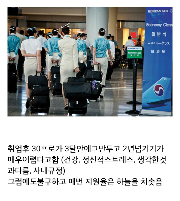 꿈의직장이지만 막상 퇴사하는 사람이 많다는 직업 | 인스티즈