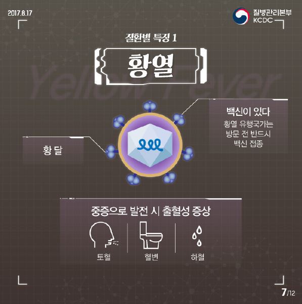 플라비 이미지