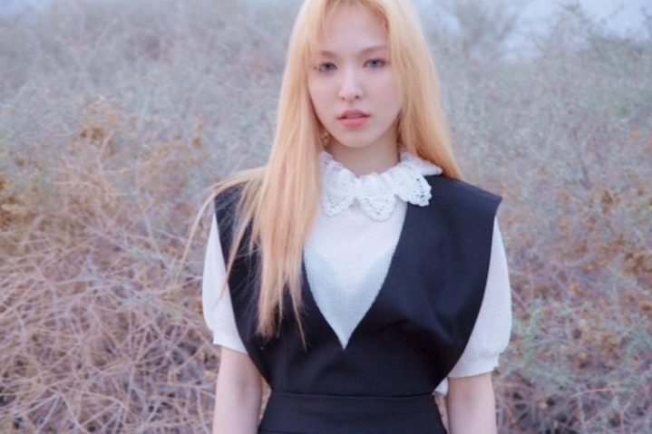 레드벨벳 메인보컬.jpg | 인스티즈