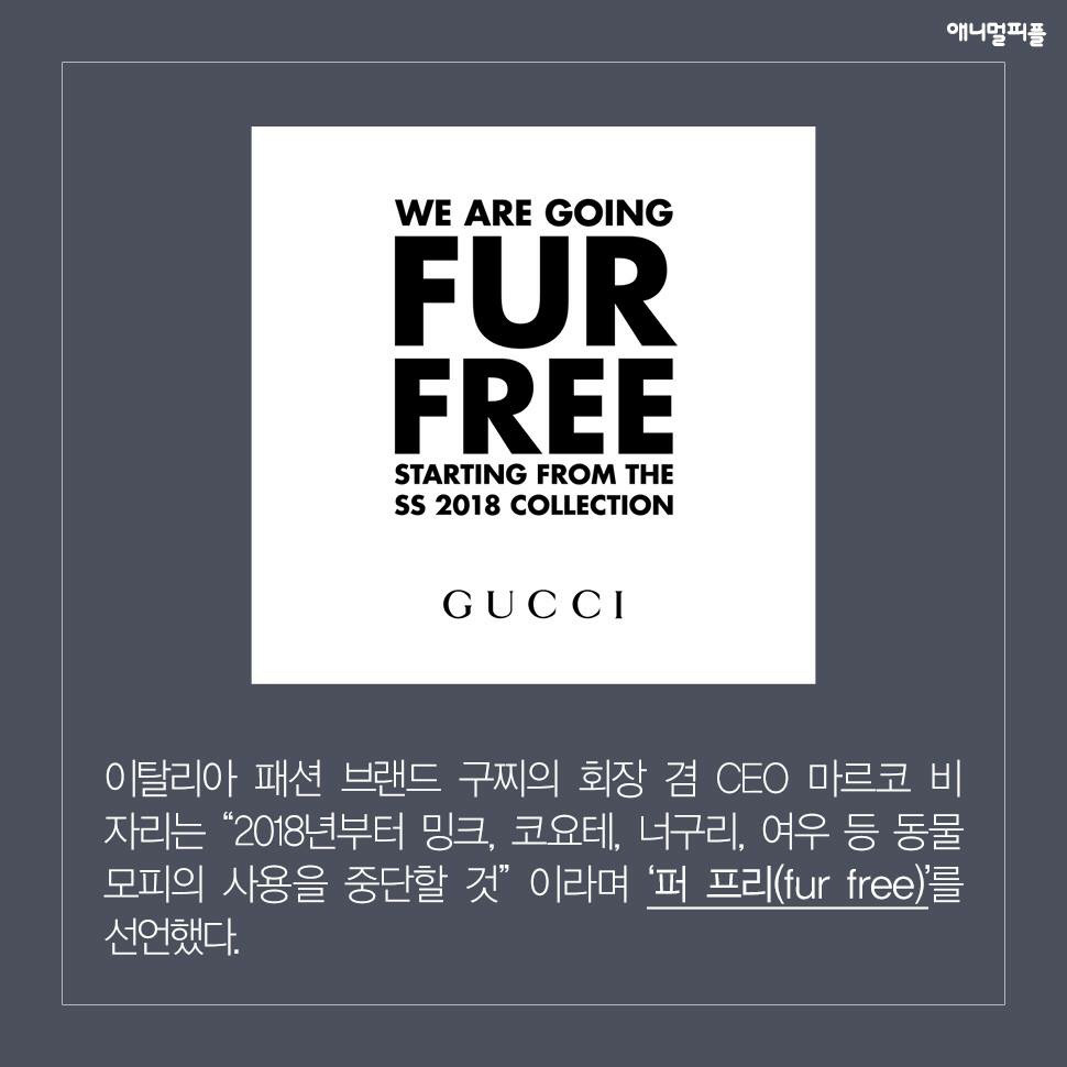 ??? : 아니 ㅅㅂ 말 못하는 강아지를 왜 때려...무슨 죄가 있다고... | 인스티즈