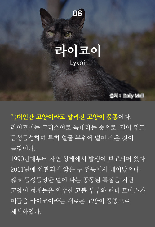 시사상식 - 8월 3주차 | 인스티즈