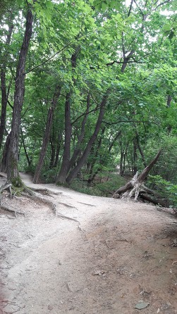 9960C6375D0C4B370E4072