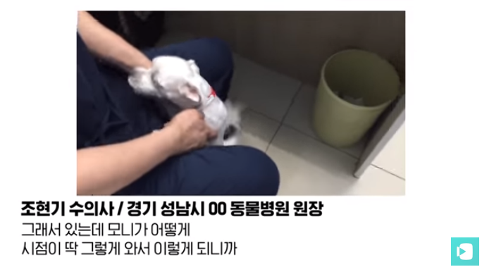 폭염 속 버려진 똘똘이가 모니로 개명한 사연 | 인스티즈