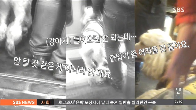 시각 장애인 안내견 식당 출입금지.jpg | 인스티즈