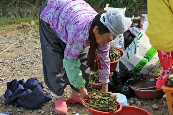 전라남도 순천 낙안읍성 마을의 진짜 한국적인 풍경 | 인스티즈