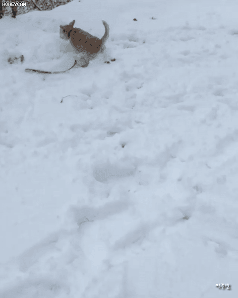 오늘자 짱절미 인스타그램.jpgif | 인스티즈