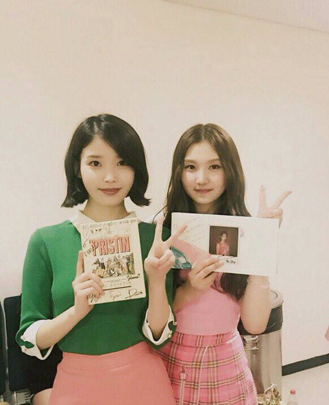 여자가수들과 찍은 아이유 모음.IU | 인스티즈