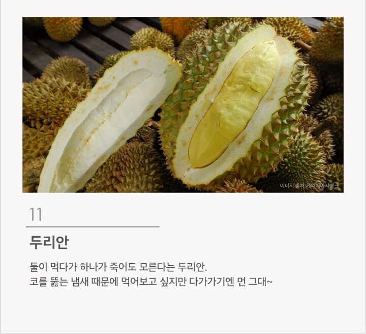맛있다고는 하는데 절대 못 먹겠는 음식 12가지 | 인스티즈