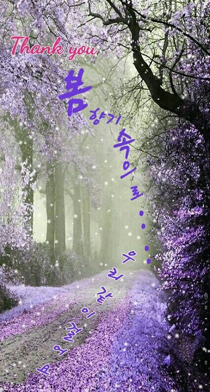 아리랑문화센터 이미지