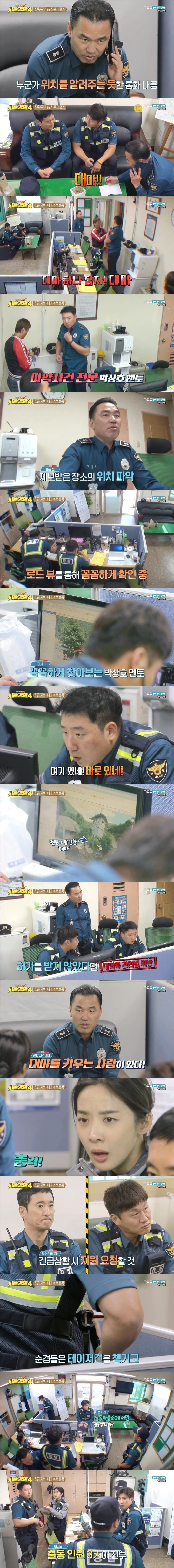 엄청난 규모의 대마 불법재배 현장을 수색하는 시골경찰 | 인스티즈