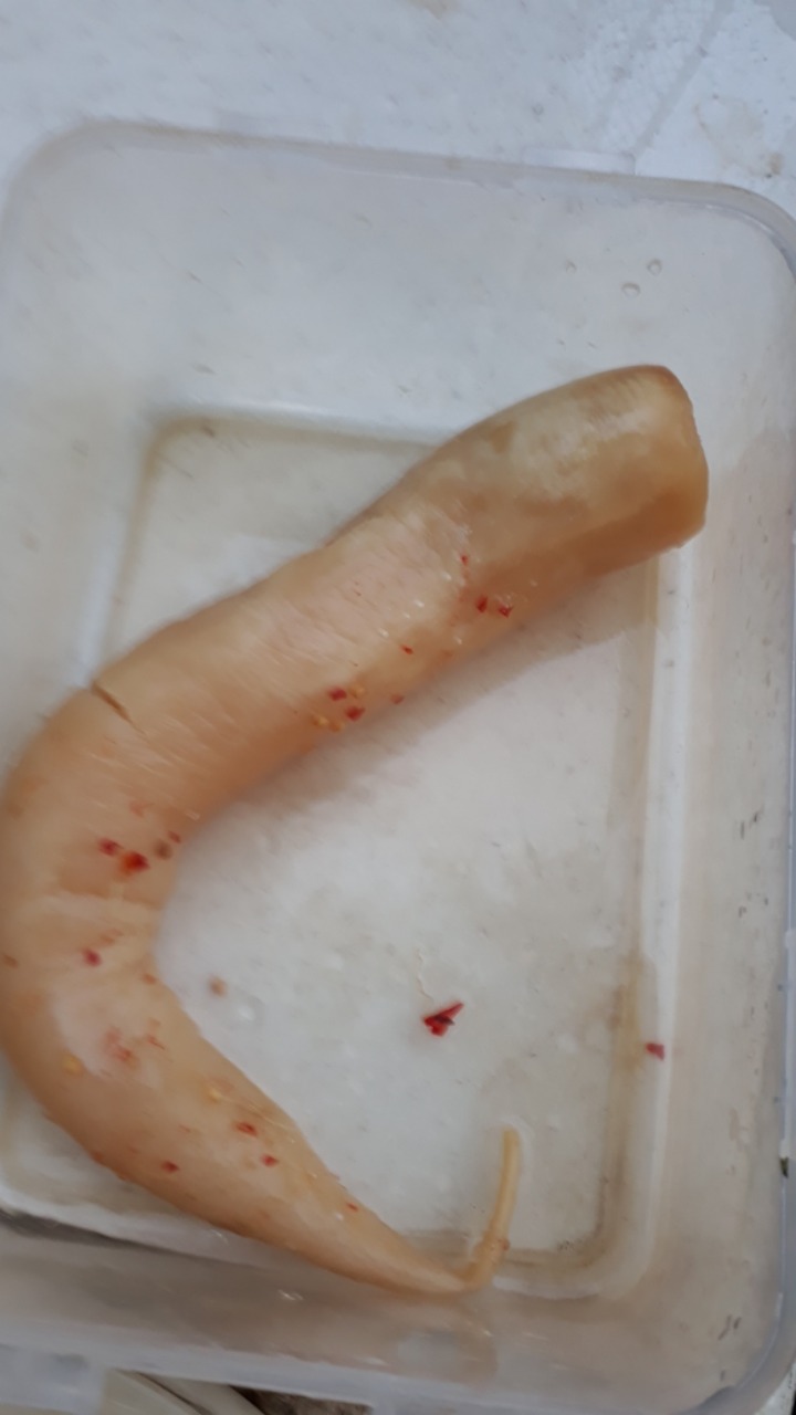 깁밥이랑 이미지