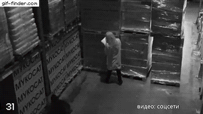 러시아의 흔한 물류창고.gif | 인스티즈