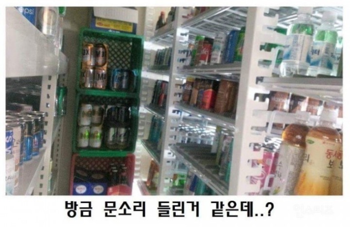 평화로운 편의점 세상 | 인스티즈