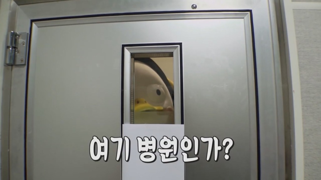 [펭수] 펭수가 직접 제작진들에게 힐링선물하는 EBS 복지 클래스 | 인스티즈