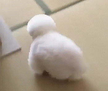 아 맞다 나 인형이지.gif | 인스티즈