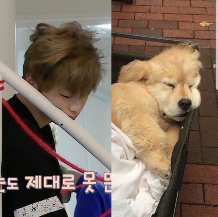찰떡쿵떡 이미지