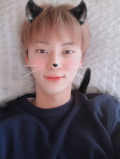 인정이네 이미지