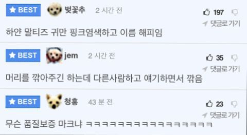 걸러야하는 미용실 특징 | 인스티즈