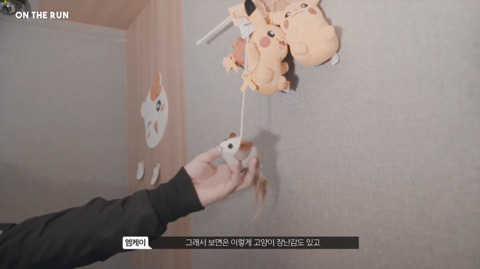 망원동 고양이 밥을 책임지고 있는 아이돌 | 인스티즈
