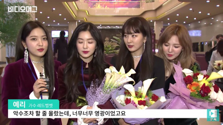 예리 평양 공연 인터뷰 가지고 뭐라하는게 어이없는 이유 | 인스티즈
