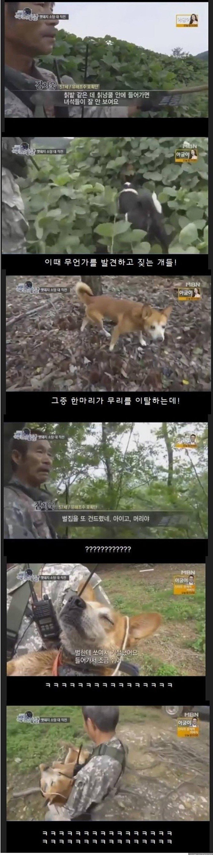 사냥개의 위엄 ㄷㄷㄷ | 인스티즈