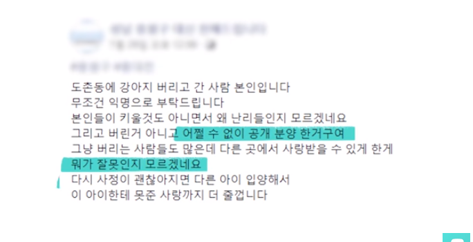 폭염 속 버려진 똘똘이가 모니로 개명한 사연 | 인스티즈