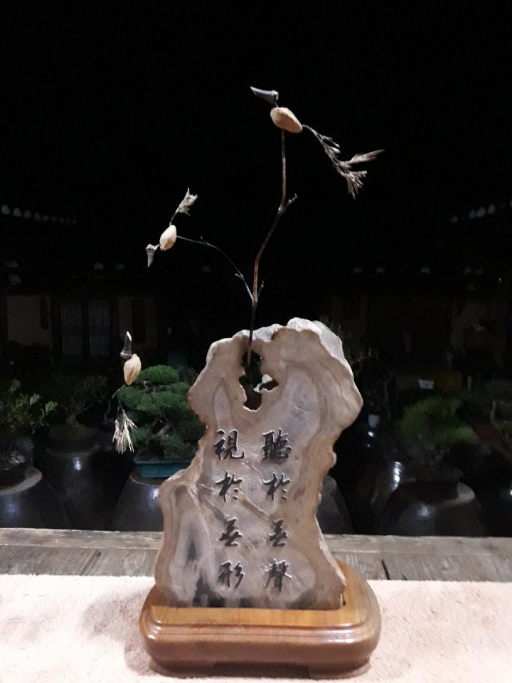 도록 이미지